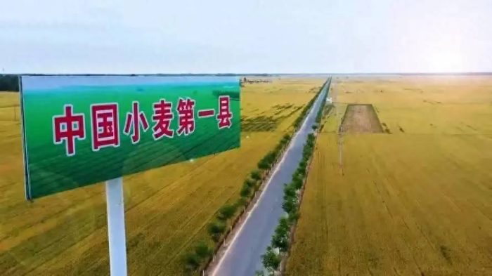中国县城概况:滑县——中国小麦第一县！-1