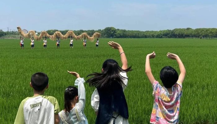 中国市辖区概况：松江——上海之根，浦江之首！-1