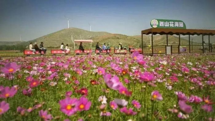 中国市辖区概况：埇桥——运河之上，风华埇桥！-1