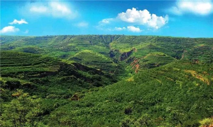 中国县城概况:泾川——王母故里 佛宝圣地！-1