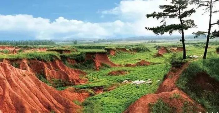 中国县城概况:郯城——山东南大门，沂蒙会客厅！-1