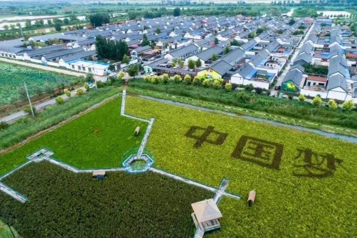 中国县城概况：高青——黄河风情盛，高青发展强！-1
