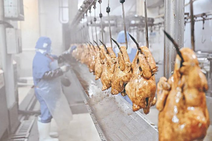 中国市辖区概况：埇桥——运河之上，风华埇桥！-1