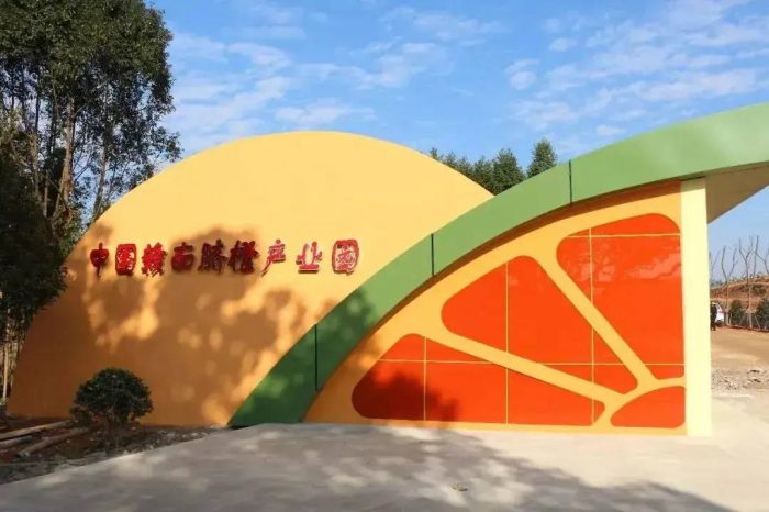 中国县城概况:信丰——世界橙乡，人信物丰！-1