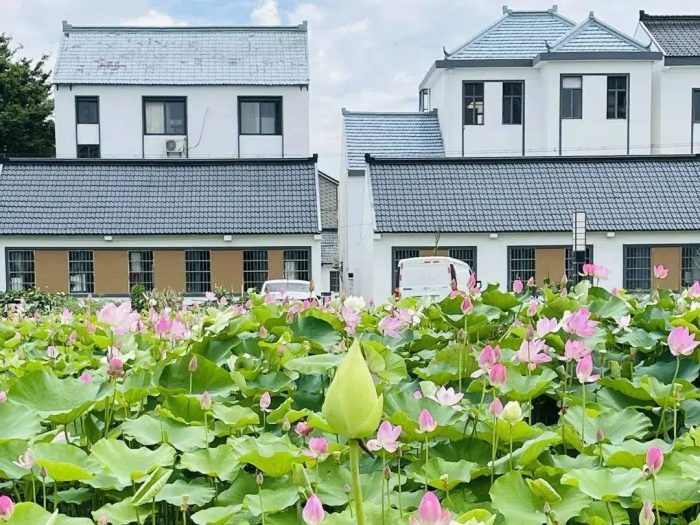 中国市辖区概况：奉贤——想休闲，到奉贤！-1