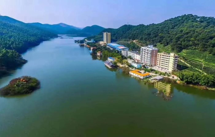 中国市辖区概况:武鸣——骆越文化，沃柑之乡！-1