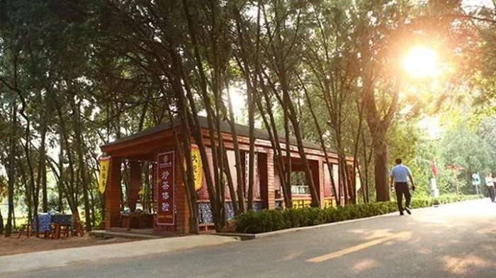 中国县城概况:莒县——好客山东，勿忘在莒！-1
