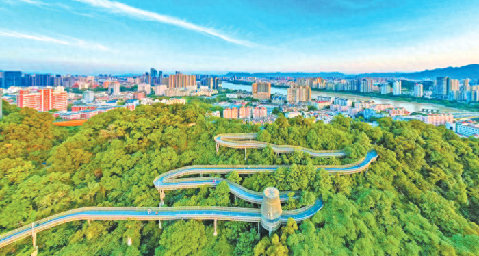 福建财政收入2024年：2024年1-3月福建各地财政收入，福州保持稳定，宁德表现出色-1