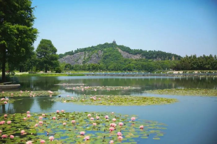 中国市辖区概况：松江——上海之根，浦江之首！-1