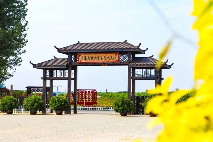 中国市辖区概况:辽中——沈西重镇，活力之都！-1