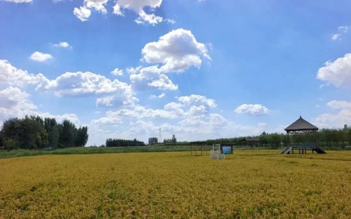 中国县城概况：高青——黄河风情盛，高青发展强！-1