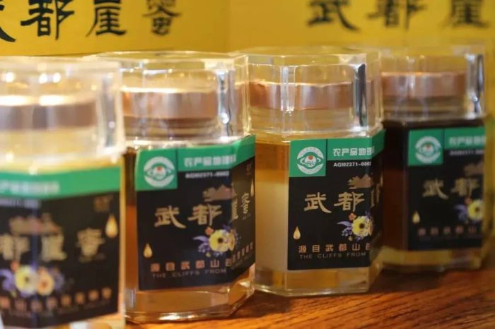 中国市辖区概况:武都——陇上江南，秦陇锁钥！-1