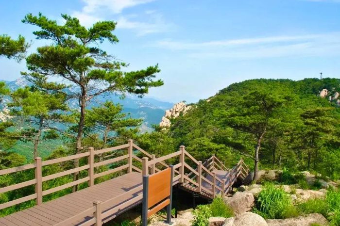 中国县城概况:平邑——沂蒙花海，平安之邑！-1