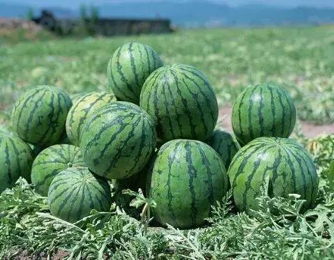 中国县城概况:青铜峡——天下黄河富宁夏，塞上明珠青铜峡！-1