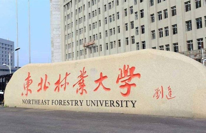 哈尔滨市高校2024年排名：东北林业大学第3，黑龙江大学排第5-1