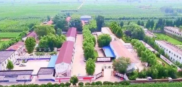 中国县城概况:平乡——中国童车之都！-1