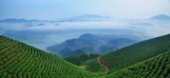 中国县城概况:淳安——魅力千岛湖，青春理想城！-1