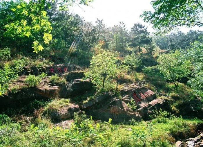 中国县城概况:郯城——山东南大门，沂蒙会客厅！-1