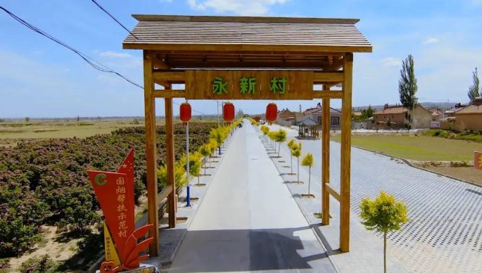 中国市辖区概况:红寺堡——中国葡萄酒第一镇！-1