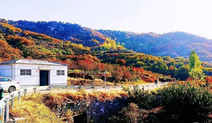中国县城概况:平邑——沂蒙花海，平安之邑！-1