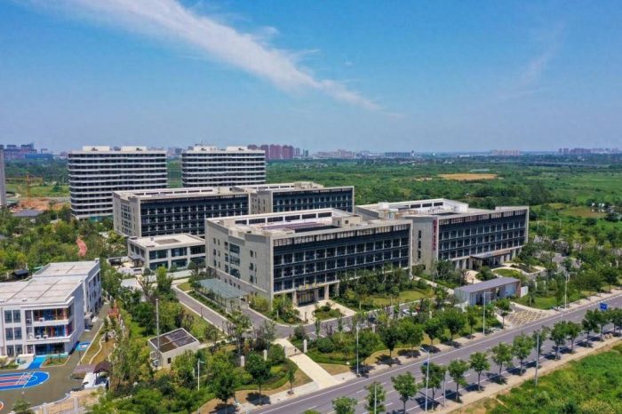 六安财政收入2024年：2024年1-3月六安各地财政收入表现，霍邱总量靠前，霍山增速出色-1