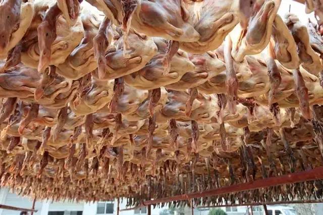 中国县城概况:阜南——淮上明珠，丰饶阜南！-1