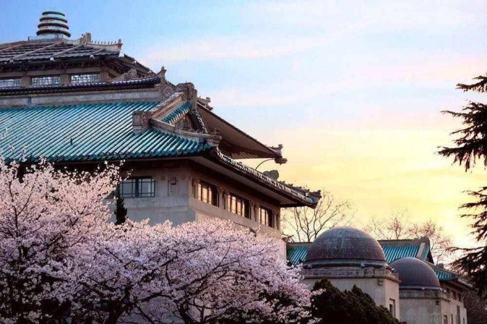 2024年双一流大学100强排名：中科大、浙大并列，武大排第11-1