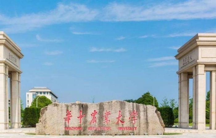 高校2023年CNS发文排名：中国科学院大学引领，南方科技大学排第5-1