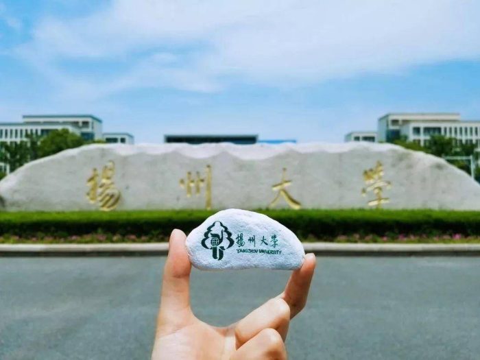 非211工程大学2023年排名：昆明理工大学夺冠，扬州大学排第3-1