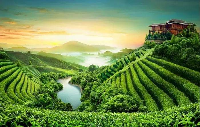 中国县城概况:安溪——山水福地，茶韵安溪！-1