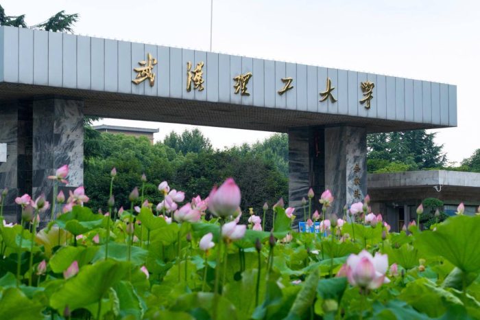 211工程大学分类排名：74所大学划分为5档，武汉理工大学居第2档-1