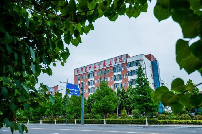 江苏省独立学院2023年排名：20所大学上榜，南理工紫金学院排第3-1