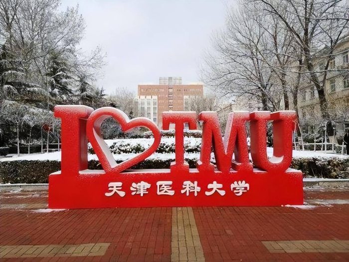 医药类大学2024分档排名：4所大学进全国百强，首都医科大学第2-1