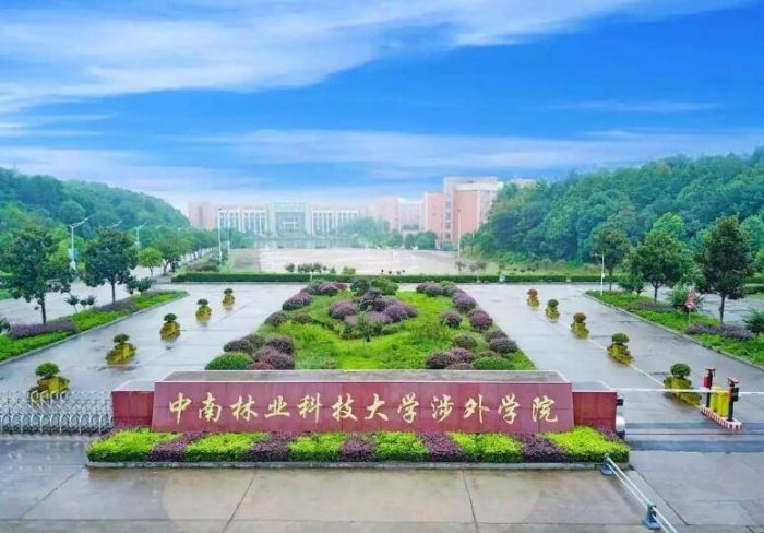 湖南2023年独立学院排名：13所大学上榜，湖师大树达学院排第2名-1