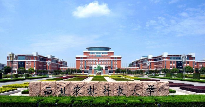 985工程大学2023年安徽理科高考最低分排名2023：最高690分，中科大排第4-1