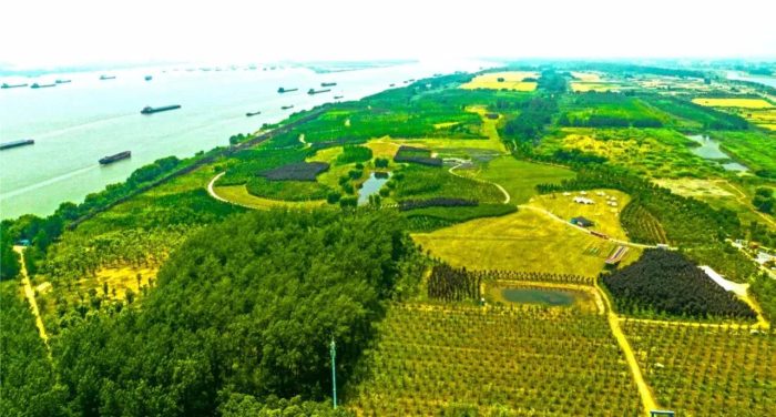 中国县城概况:和县——中国蔬菜之乡！-1