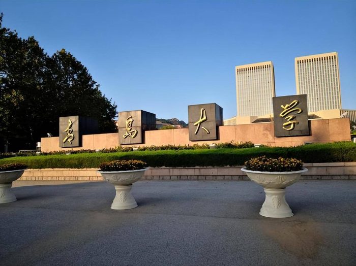 中国高校“工学”全球排名500强：哈工大第6，青岛大学排第37-1