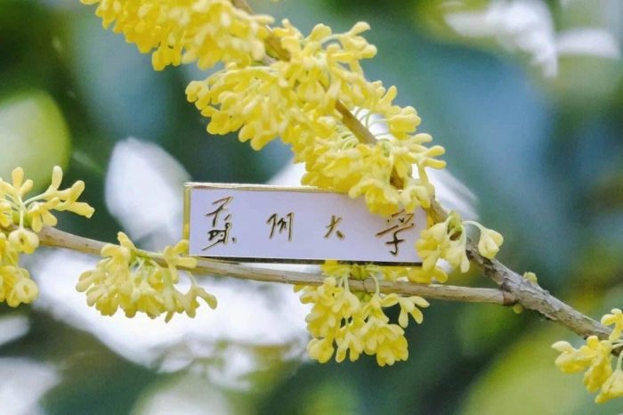 中国高校2023年科研潜力100强：复旦大学第3，郑州大学表现优秀-1