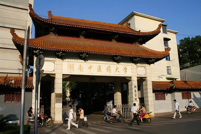 湖南2023年独立学院排名：13所大学上榜，湖师大树达学院排第2名-1