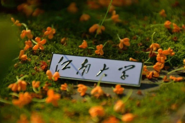 设计学2023年大学排名：216所高校上榜，江南大学排第3名-1