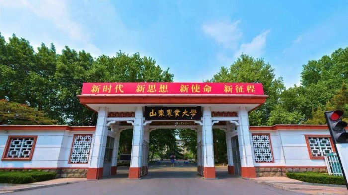山东高校2023年一流学科排名：山东大学居榜1，山东农业大学排第4-1