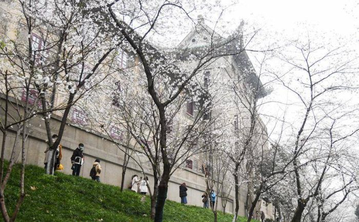 新闻传播学2023年大学排名：中国传媒大学第1，武汉大学排第4-1