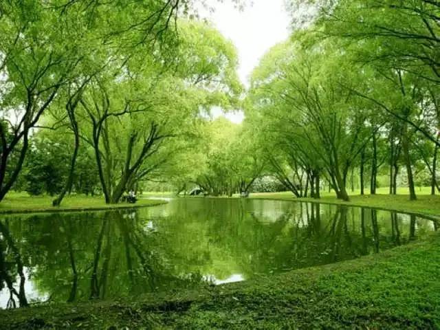 中国县城概况：延津——中国第一麦！-1