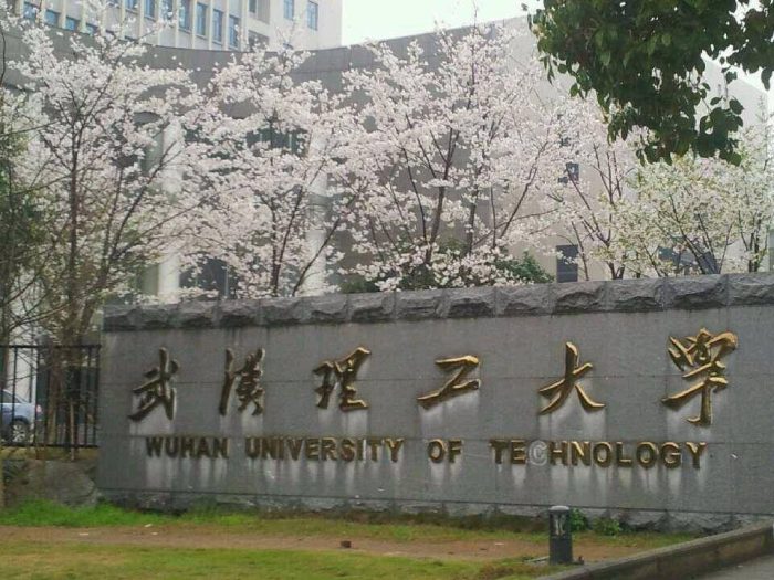2024年湖北高校排名：华中科大夺第1，武汉理工大学稳居第3-1