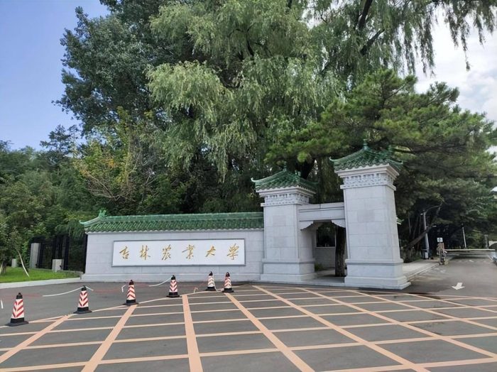 吉林高校2023年优势学科排名：吉林大学居第1，东北电力大学优秀-1
