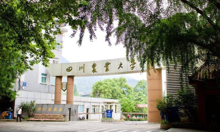 农林类大学2024年最新排名：中国农业大学夺魁，华中农业大学第4-1