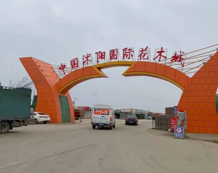中国县城概况：沭阳——江苏人口第一大县！-1