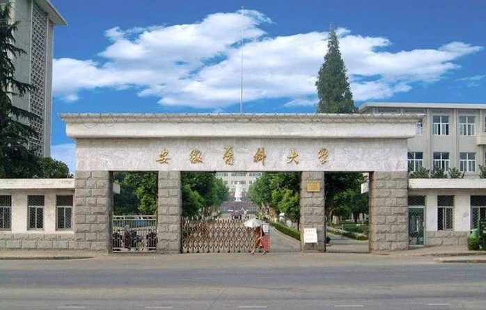 安徽高校2023年档次排名：31所大学分14档，安徽医科大学居第4档-1