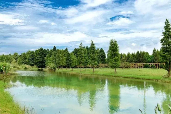 中国市辖区概况:青浦——江南水乡，上海之门！-1