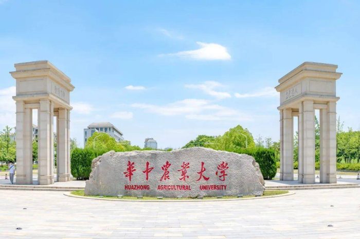 2023年武汉市20强大学排名：武汉大学夺魁，武汉理工大学排第3名-1